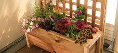 Cedar garden planter with trellis