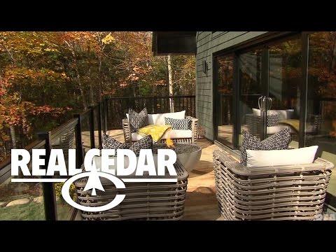 Cabin Pressure II : CATNIP