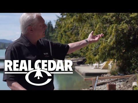 Cedar Decking Basics