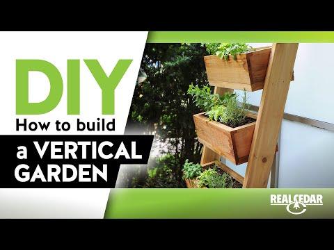 How to Build Trellis Vertical Garden