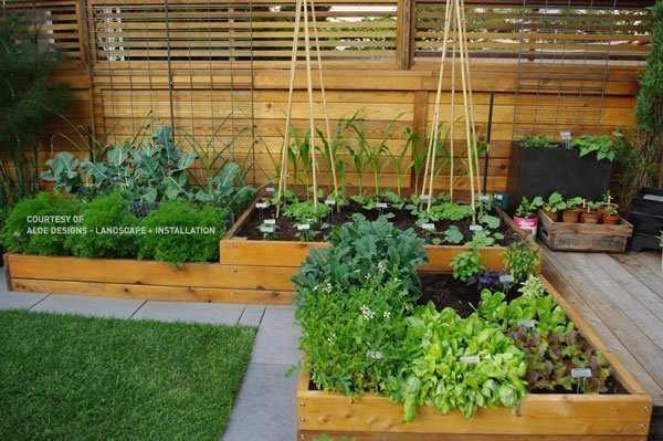 Elevate Your Garden Game With Planter Boxes - Real Cedar